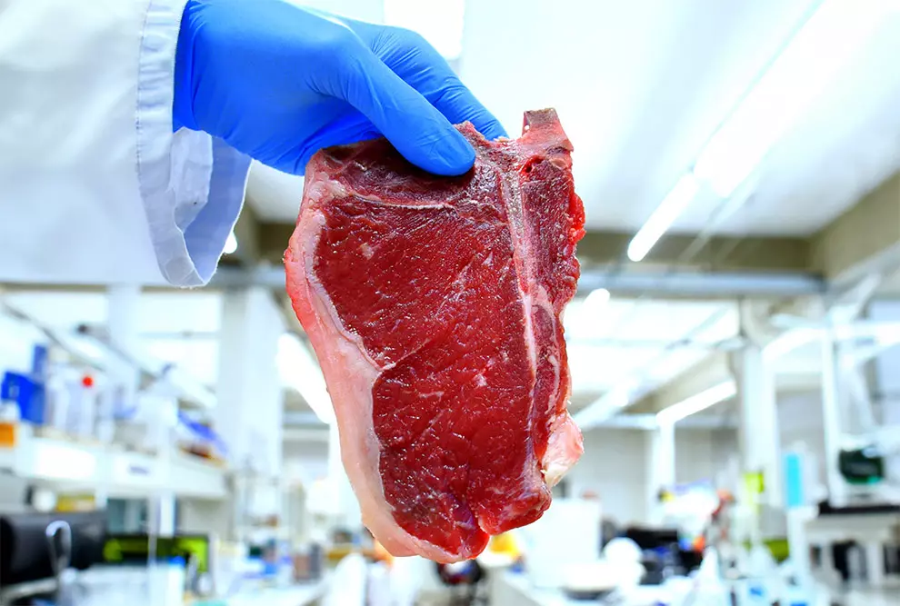 Carne de laboratório: conheça a técnica desenvolvida pela Embrapa
